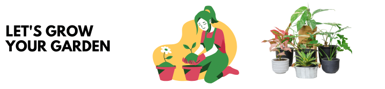 what-potential-long-term-effects-may-a-strong-home-gardening-habit-have