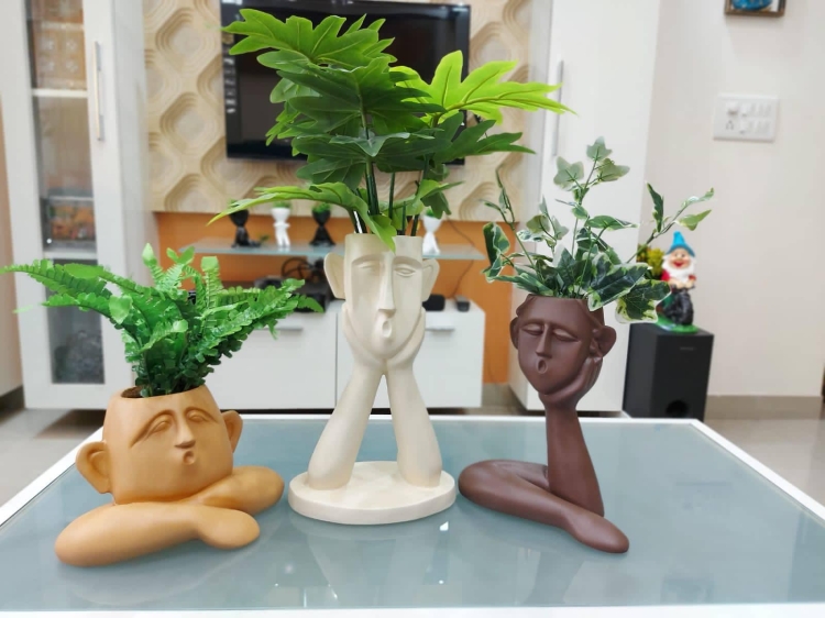air-purifying-plants-delivery-in-mayur-vihar-bring-freshness-to-your-doorstep