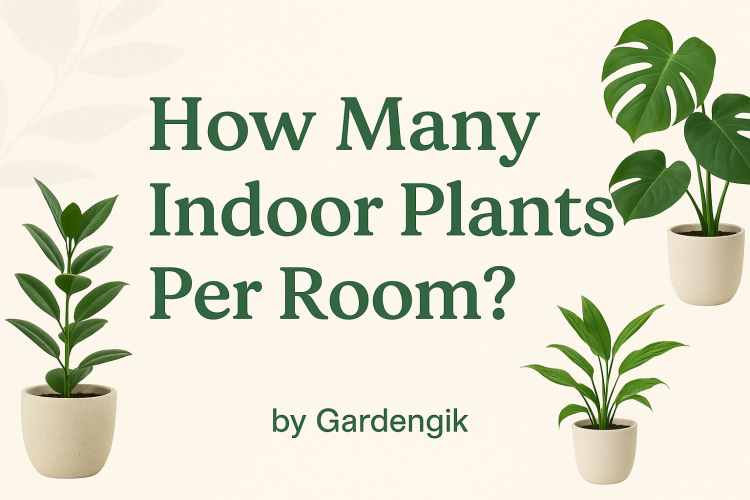 when-your-plants-welcome-you-home-how-indoor-greens-bring-oxygen-peace-pure-happiness