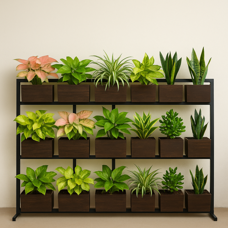 transform-your-hall-wall-stunning-vertical-garden-ideas-with-golden-money-syngoniums-more