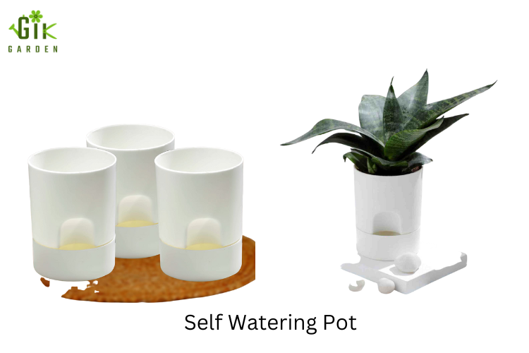 the-importance-of-self-watering-pots