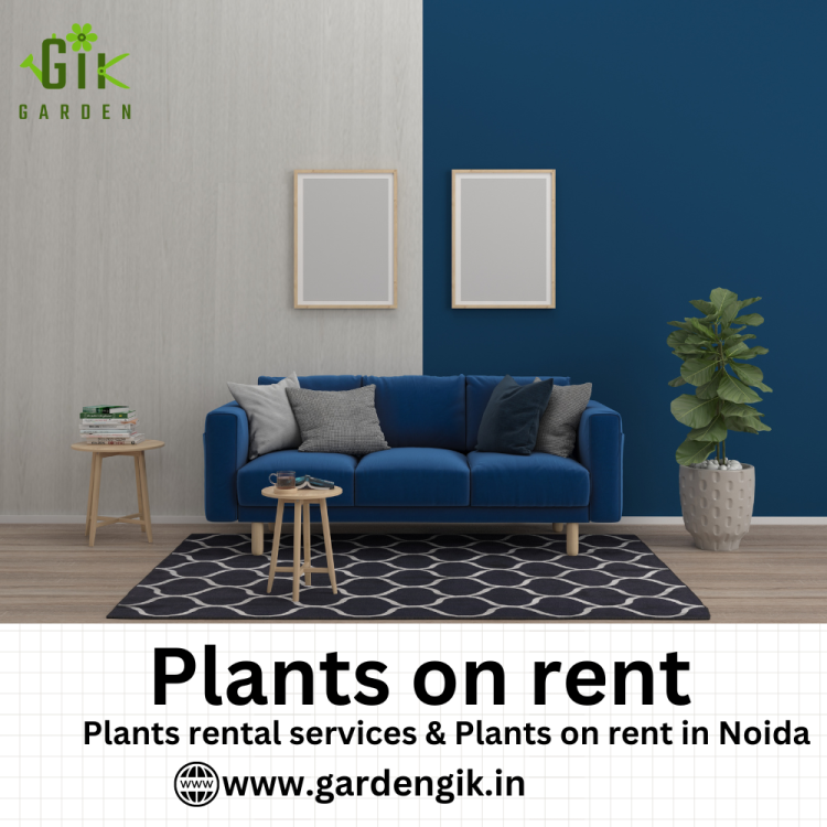Renting indoor and outdoor plants is a fantastic business idea