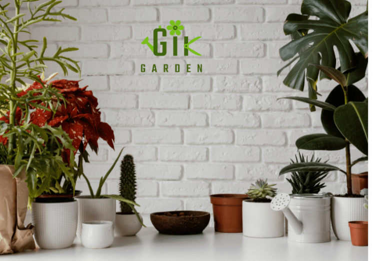 the-science-of-green-living-how-many-indoor-plants-you-really-need-in-a-15x15-living-room-especially-in-delhi-ncr