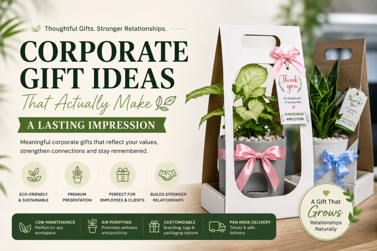 Best Return Gift Plants for Kids Birthday Parties in Noida-Delhi