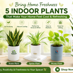 5-indoor-plants-gardengik.