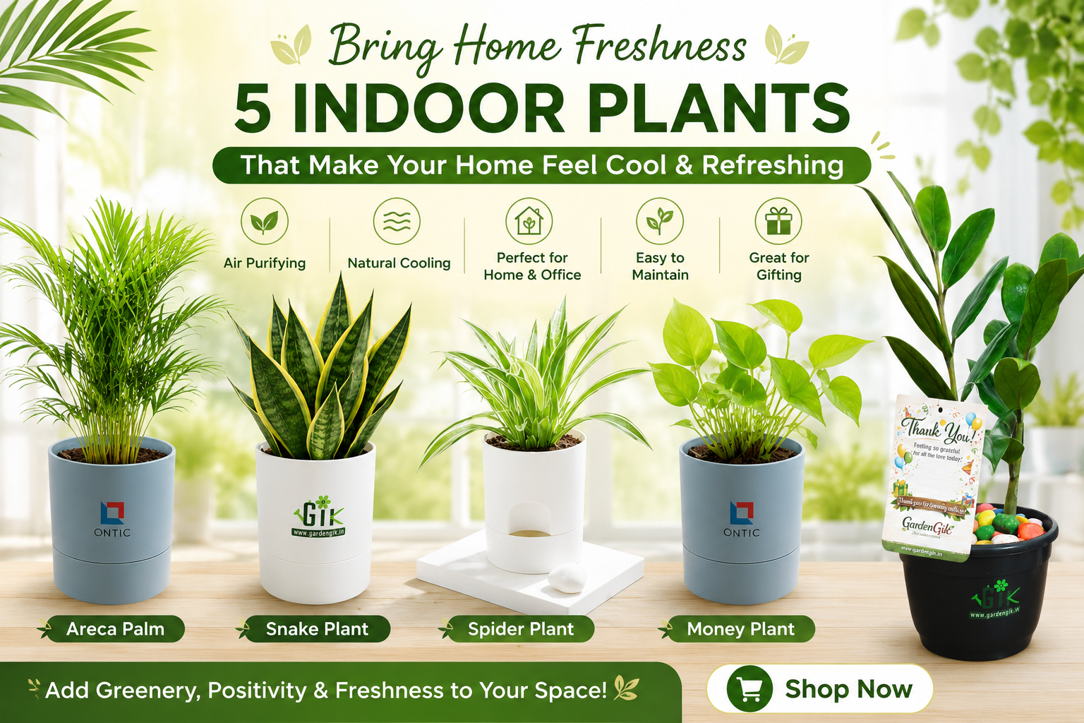 5-indoor-plants-gardengik.