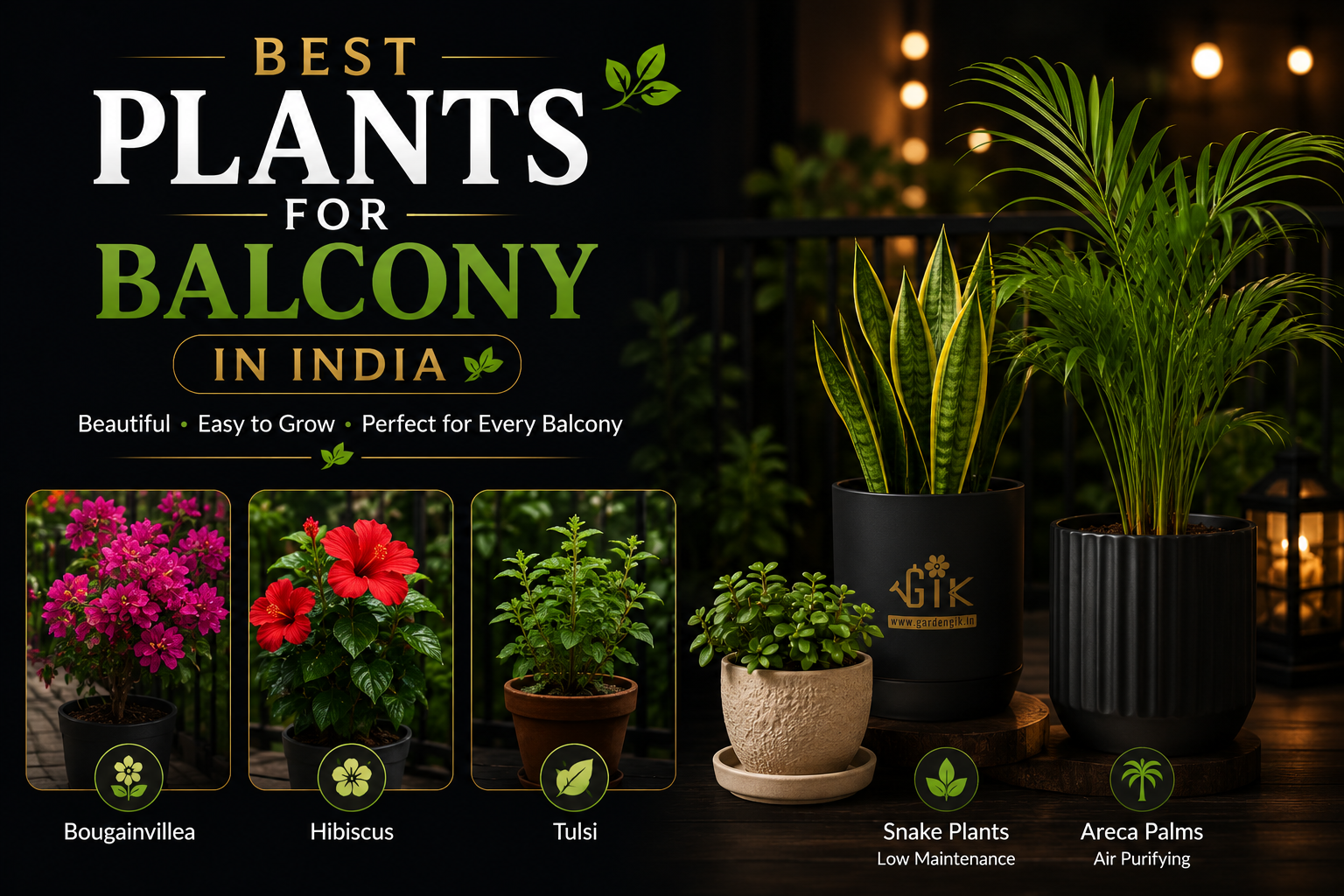 Best-plants-for-balcony-in-india