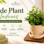 jade-plant-gardengik