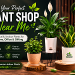 plant shop nearby me gadendgin