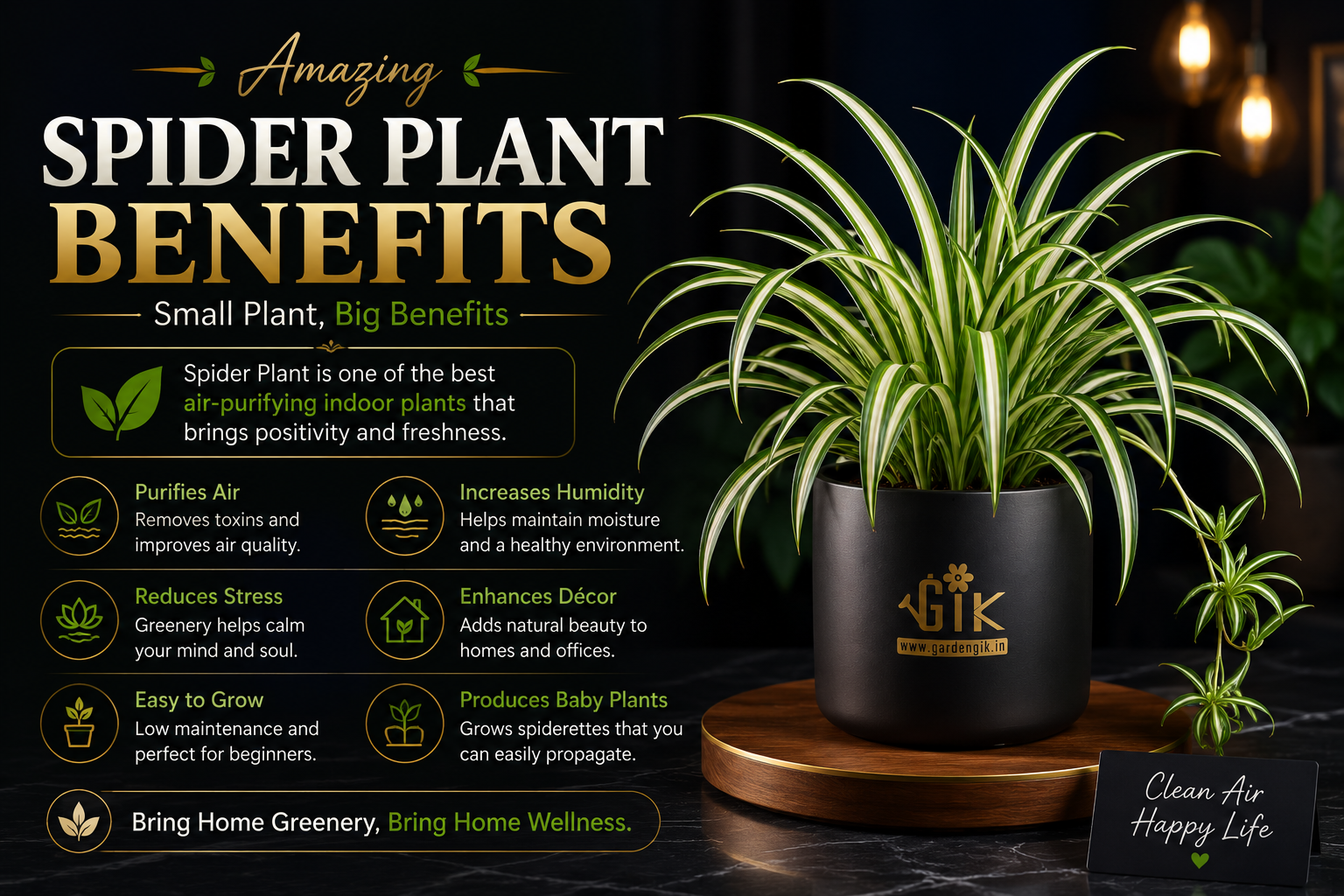 spider plant benefits in bedroom