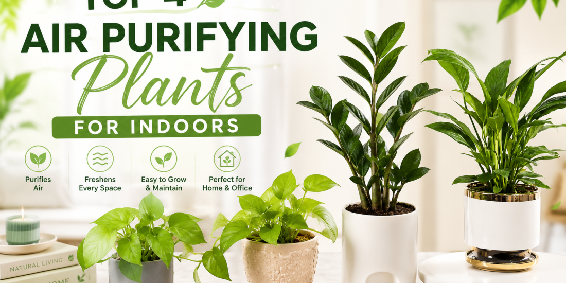 top 4 plants for home