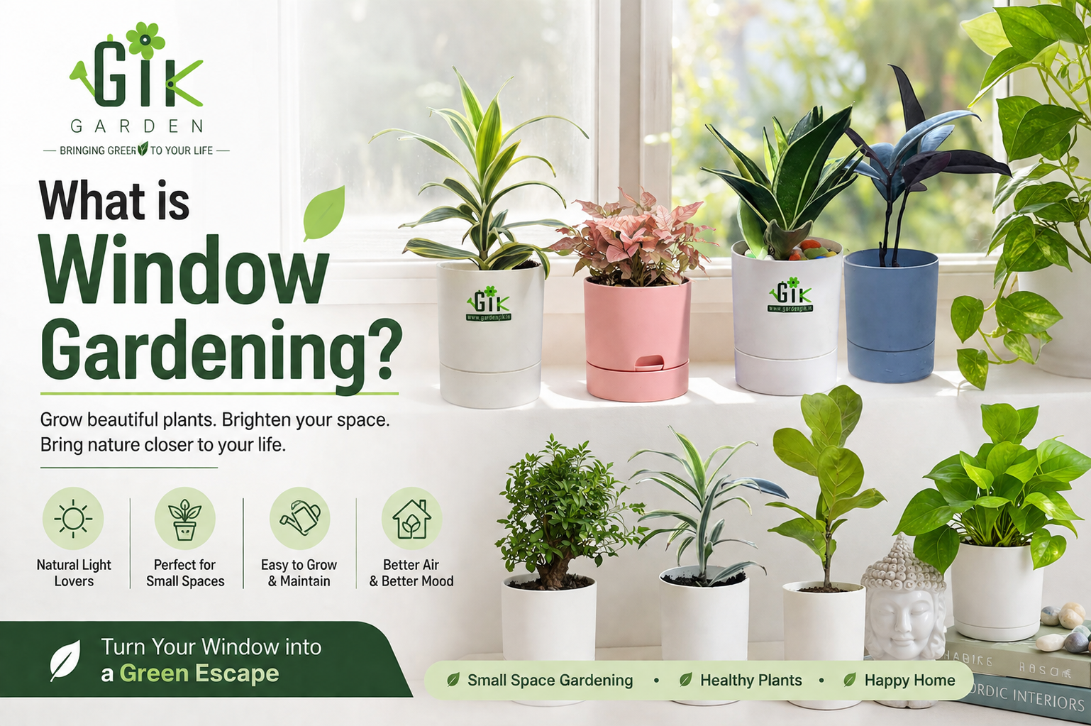 what is window gardening by Gardengik