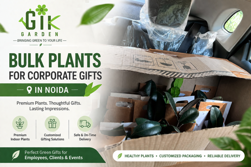 Bulk-plant-for-corporate-gufting-gardengik