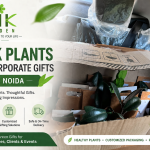 Bulk-plant-for-corporate-gufting-gardengik