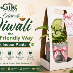 Celebrate Diwali the Eco-Friendly Way - Gift Indoor Plants