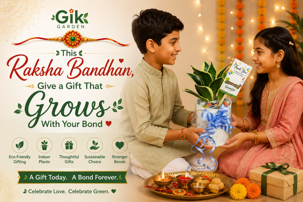 This Raksha Bandhan, Give a Gift That Grows With Your Bond