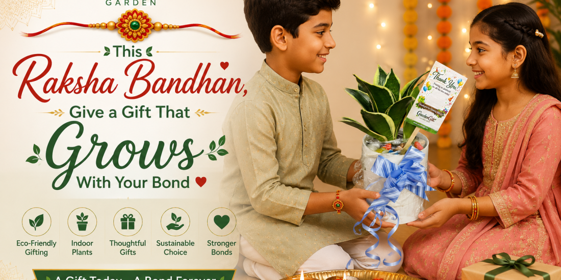 This Raksha Bandhan, Give a Gift That Grows With Your Bond