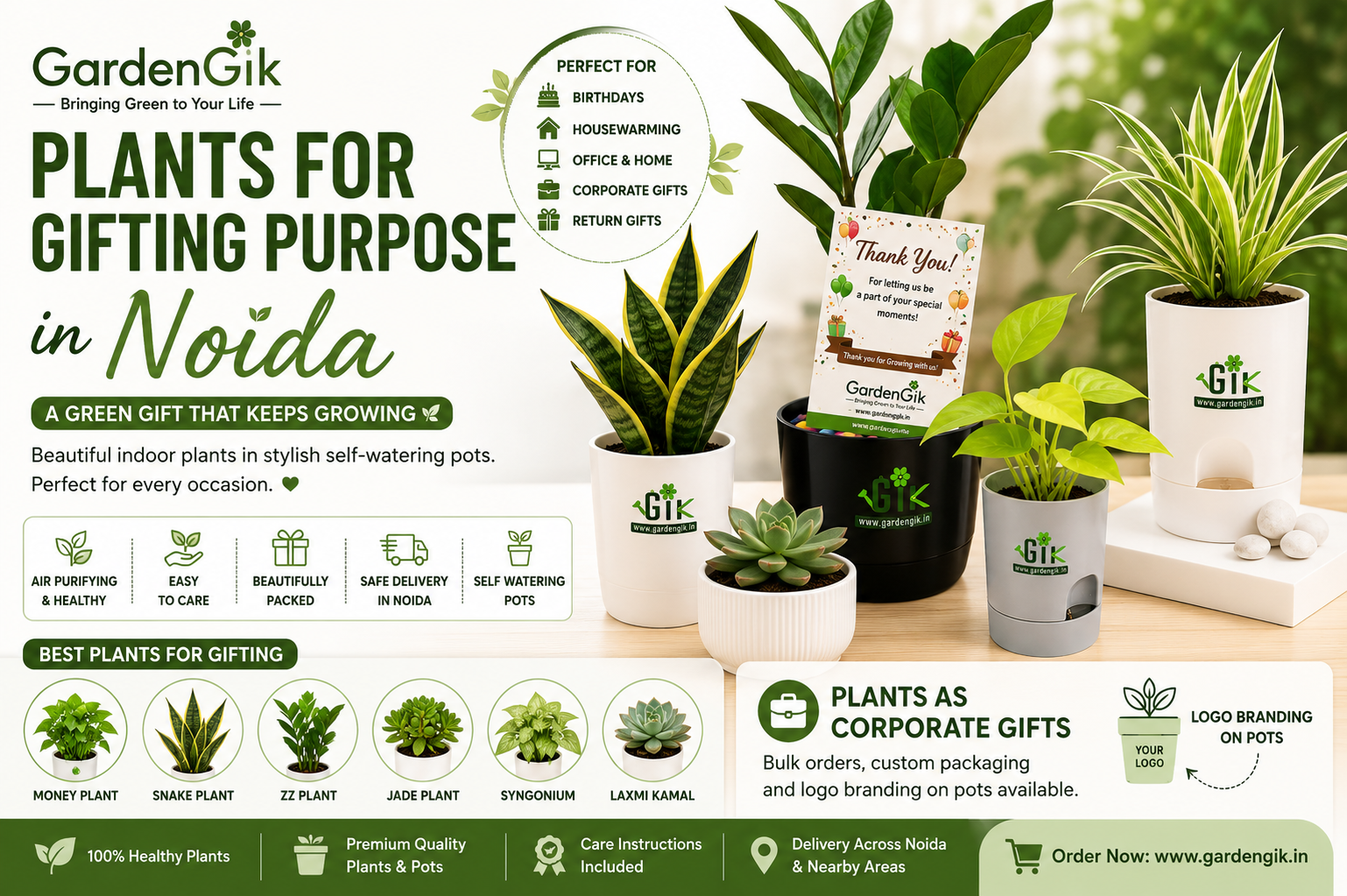 Best Plants for Gifting Purpose in Noida