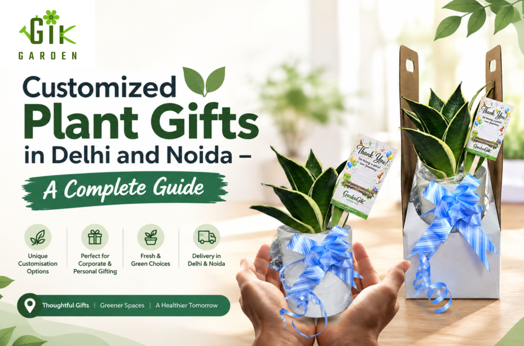 Plant as Gifting